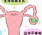 2026年台州三代试管费用全攻略，一次需要多少钱？