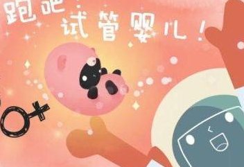 去泰国医院nic做试管的要求、条件、手续是什么？