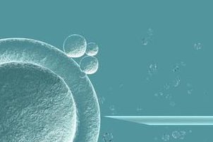 中山十家权威助孕机构生育技术一览